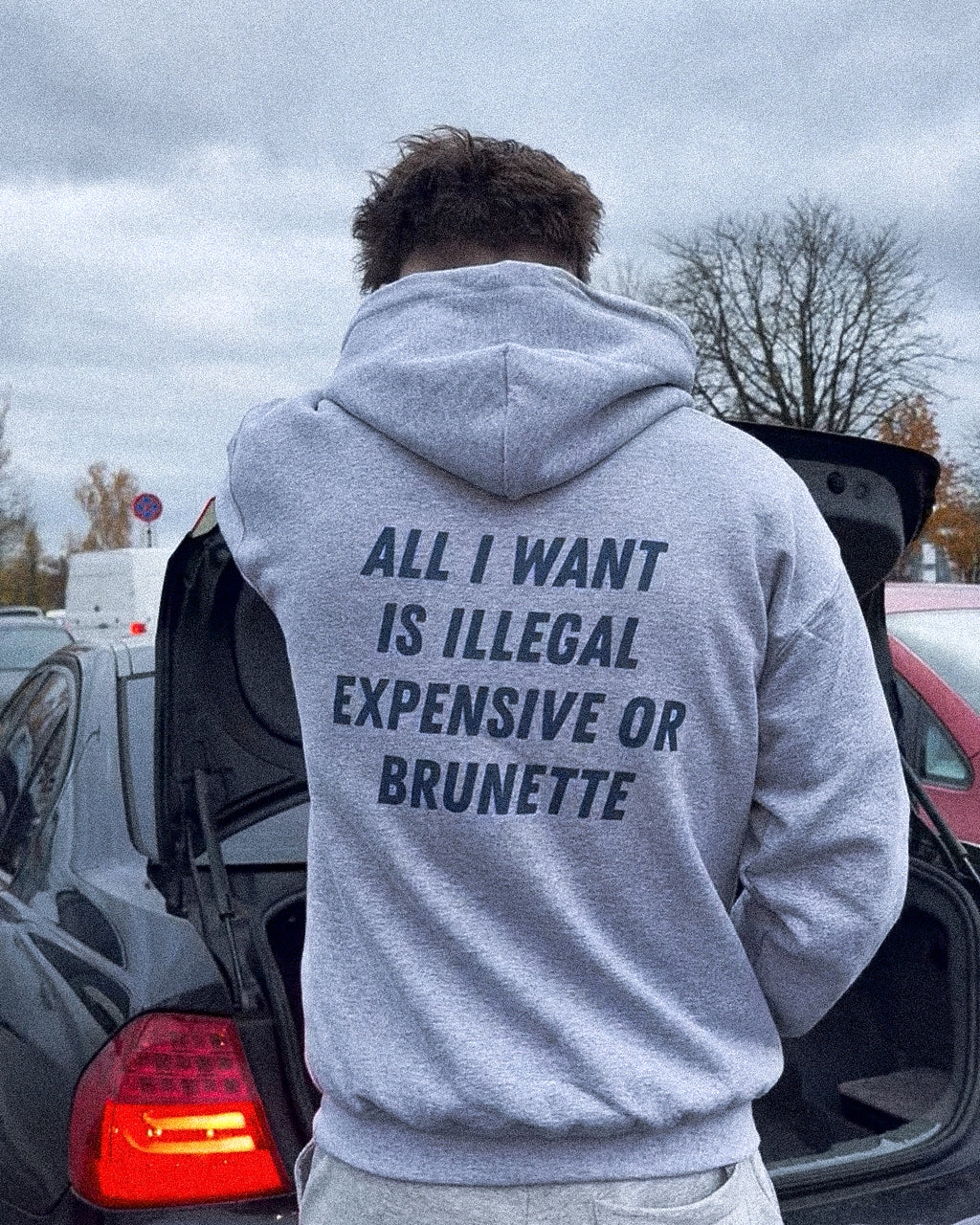 ALL I WANT IS ILLEGAL, EXPENSIVE OR BRUNETTE - HOODIE