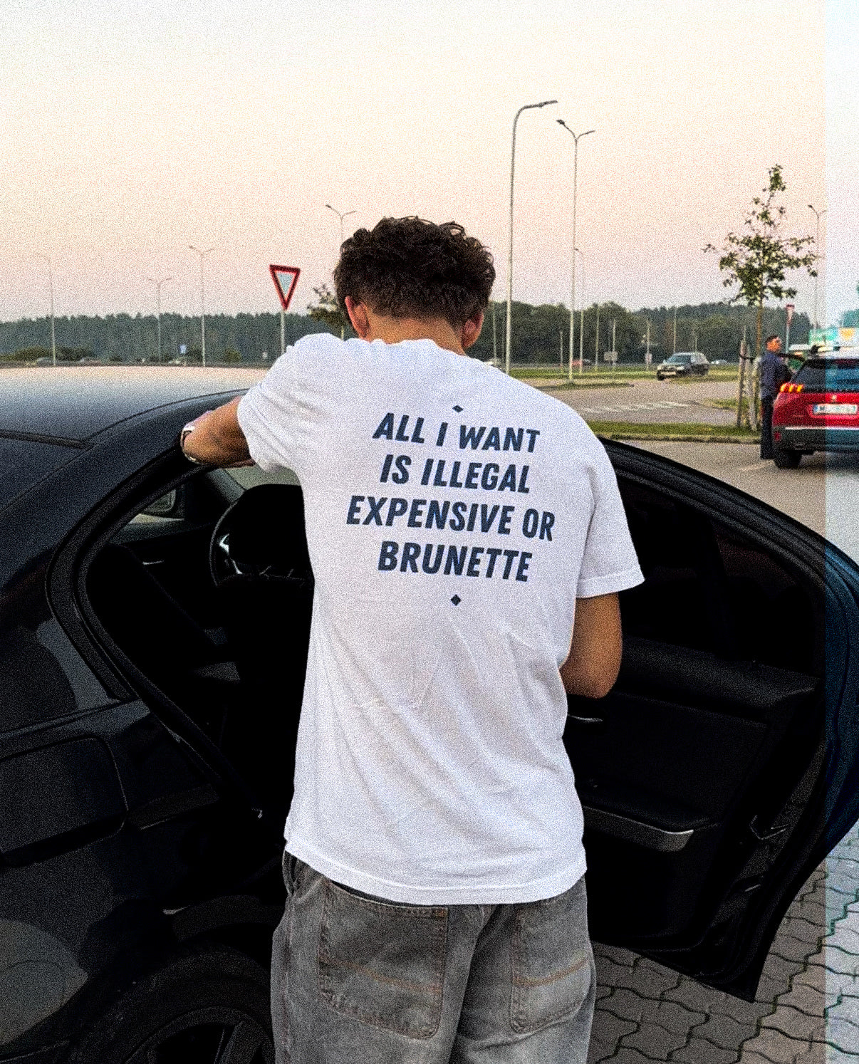 ALL I WANT IS ILLEGAL, EXPENSIVE OR BRUNETTE