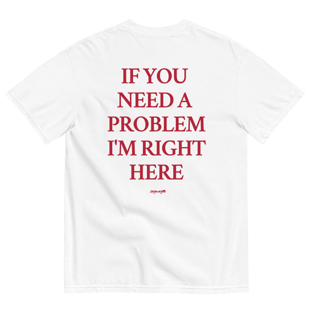 IF YOU NEED A PROBLEM