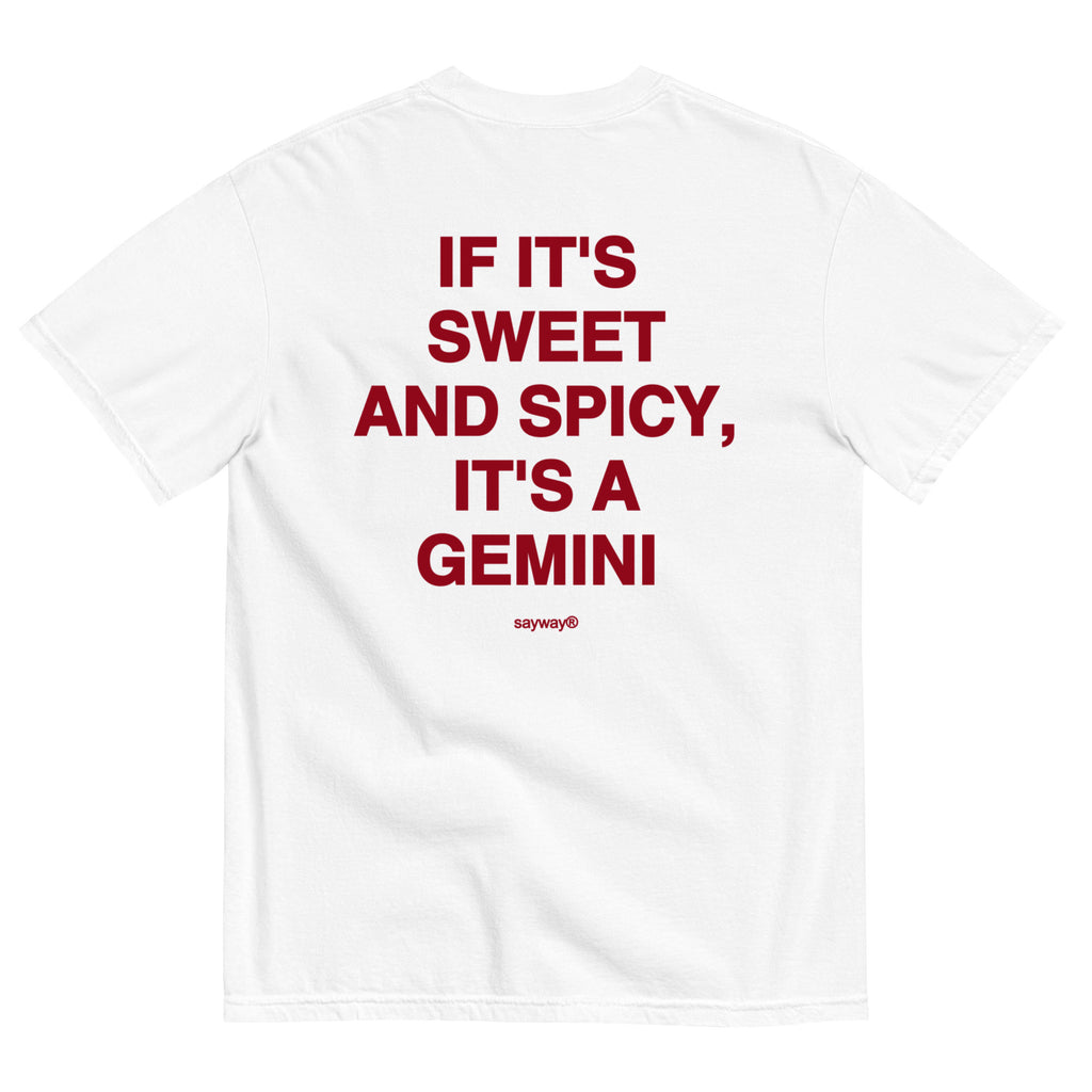 IT'S A GEMINI